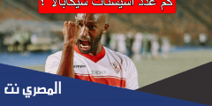 كم عدد اسيستات شيكابالا