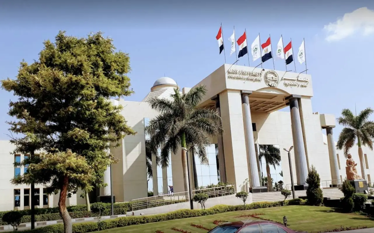 كم عدد الطلاب الذين يدخلون طب في مصر