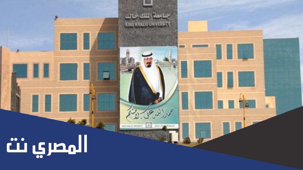 كم نسبة القبول في جامعة الملك خالد؟