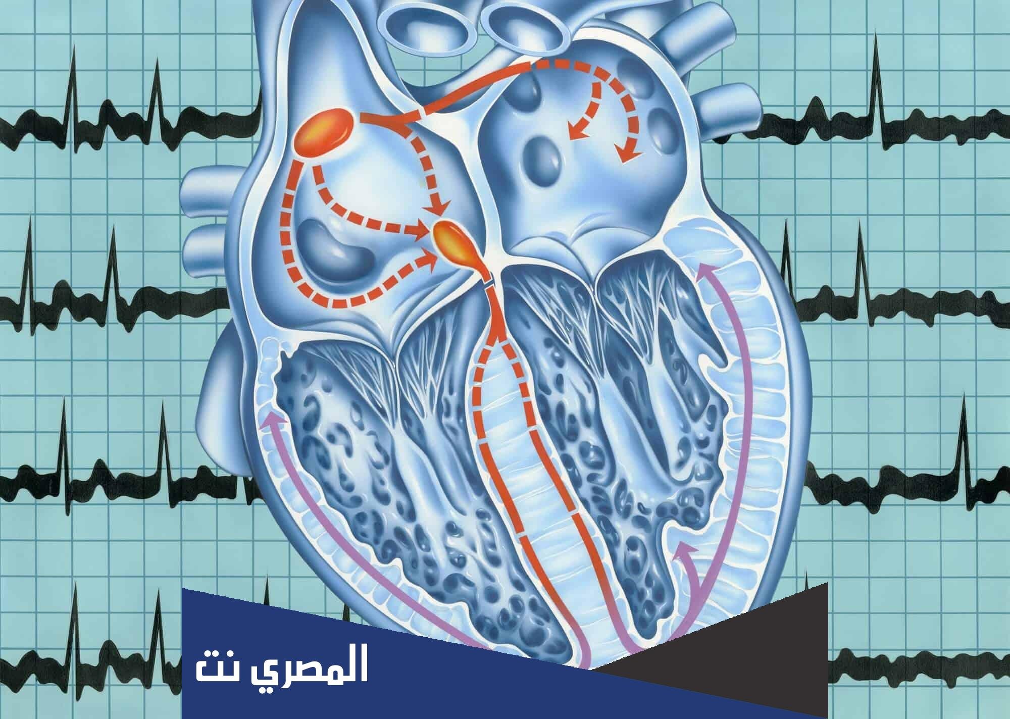 كيف يتم الكشف عن الرجفان الأذيني