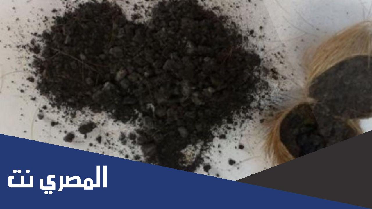 كيف يستخرج المسك الاسود من الغزال؟