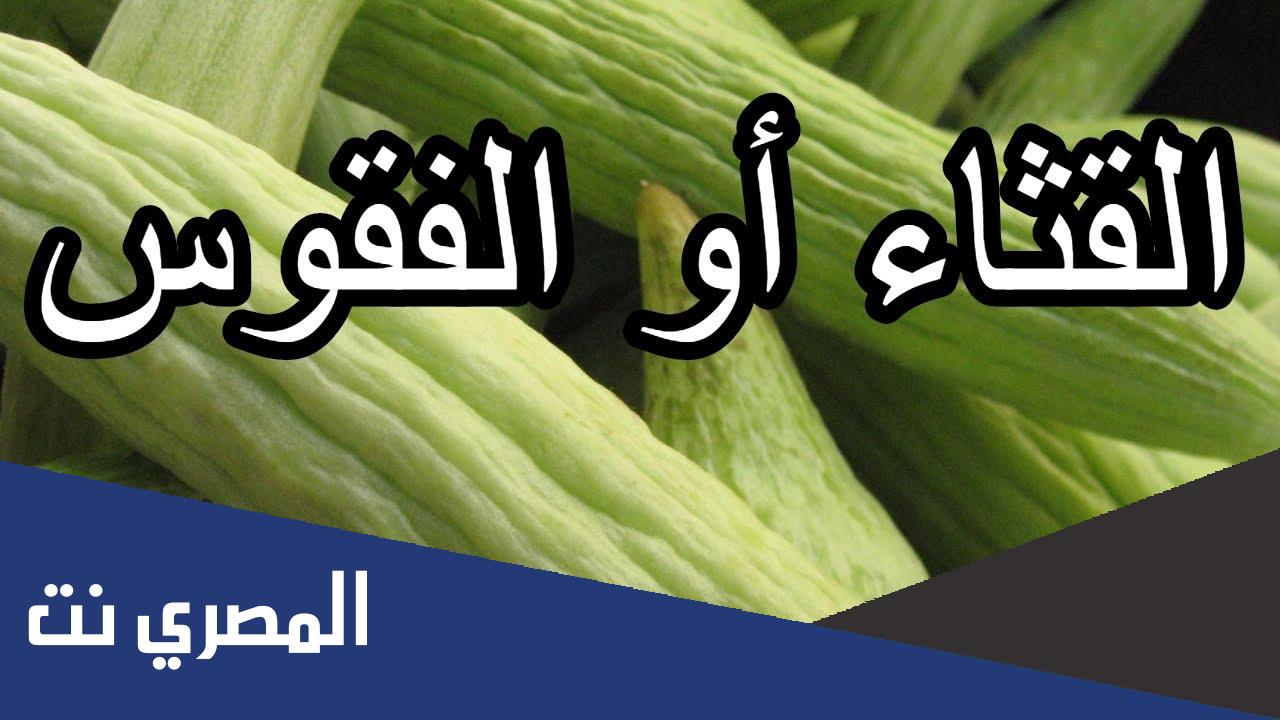 ما معنى قثائها