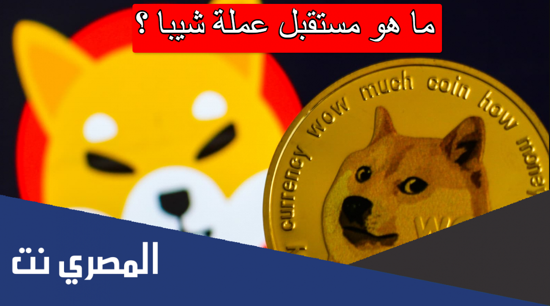 ما هو مستقبل عملة شيبا