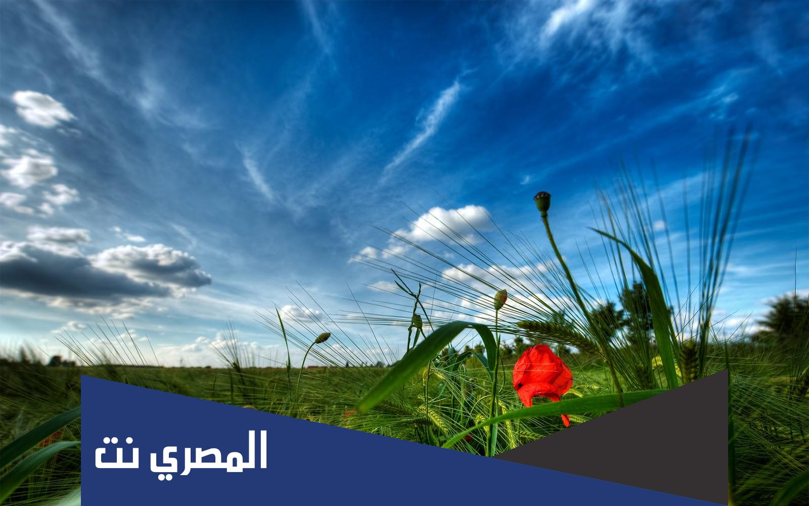 ما هي الاستدامة في الاسلام
