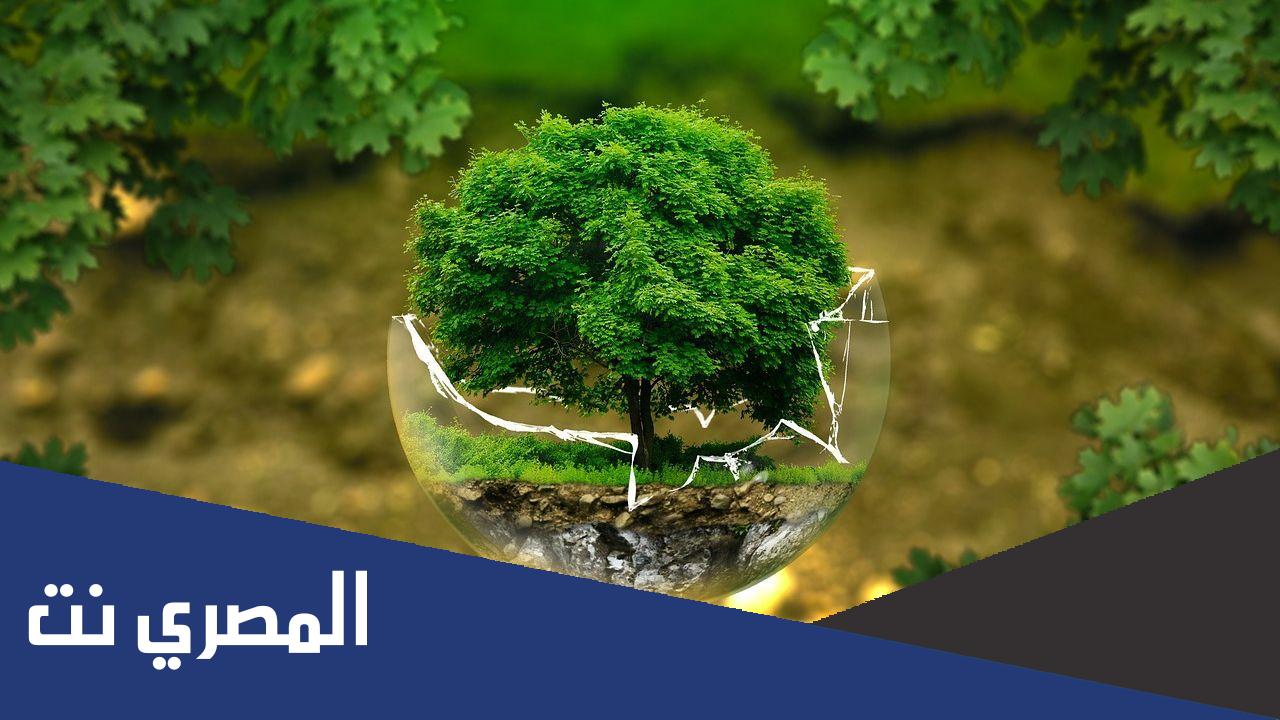 ما هي الاستدامة