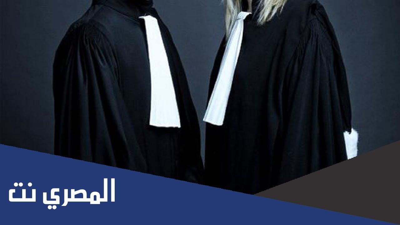 ماذا ترمز القطة البيضاء في روب المحاماه؟.
