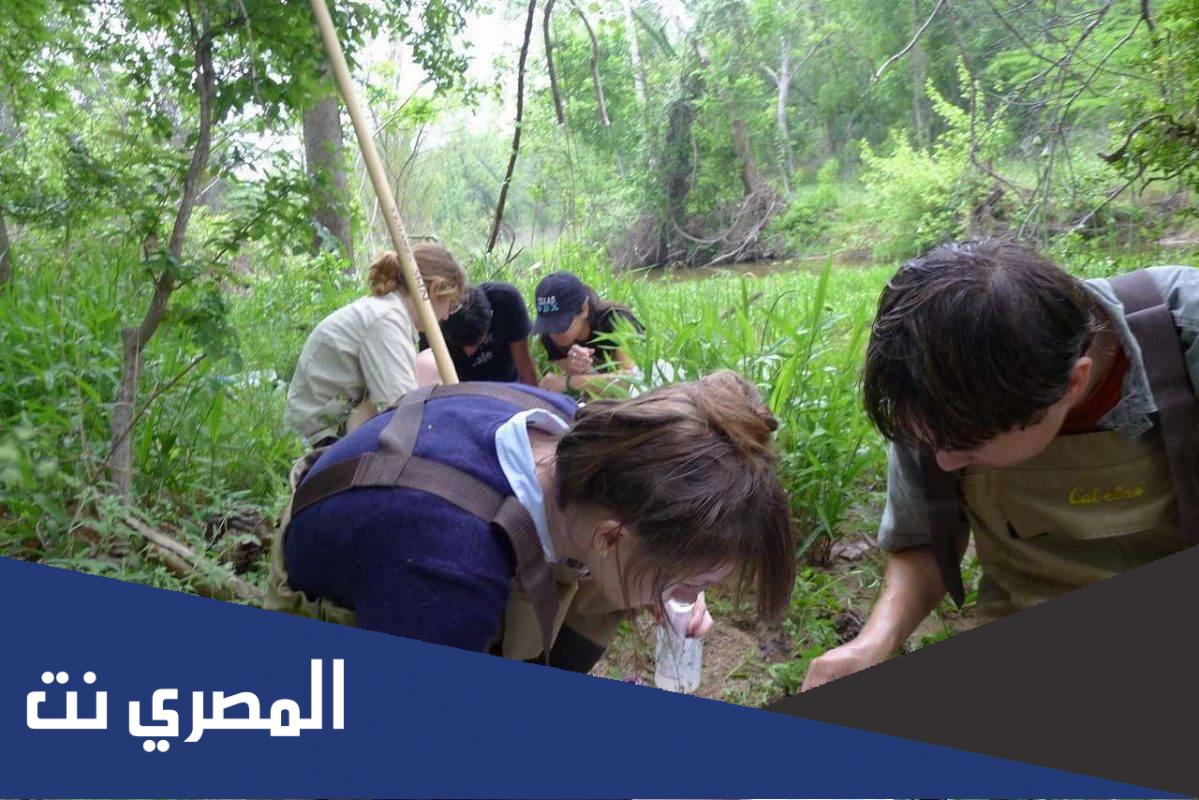 مجالات العمل في تخصص علوم الطبيعة والحياة