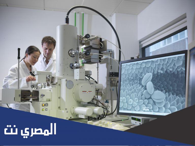 مجالات تستخدم فيها المجاهر