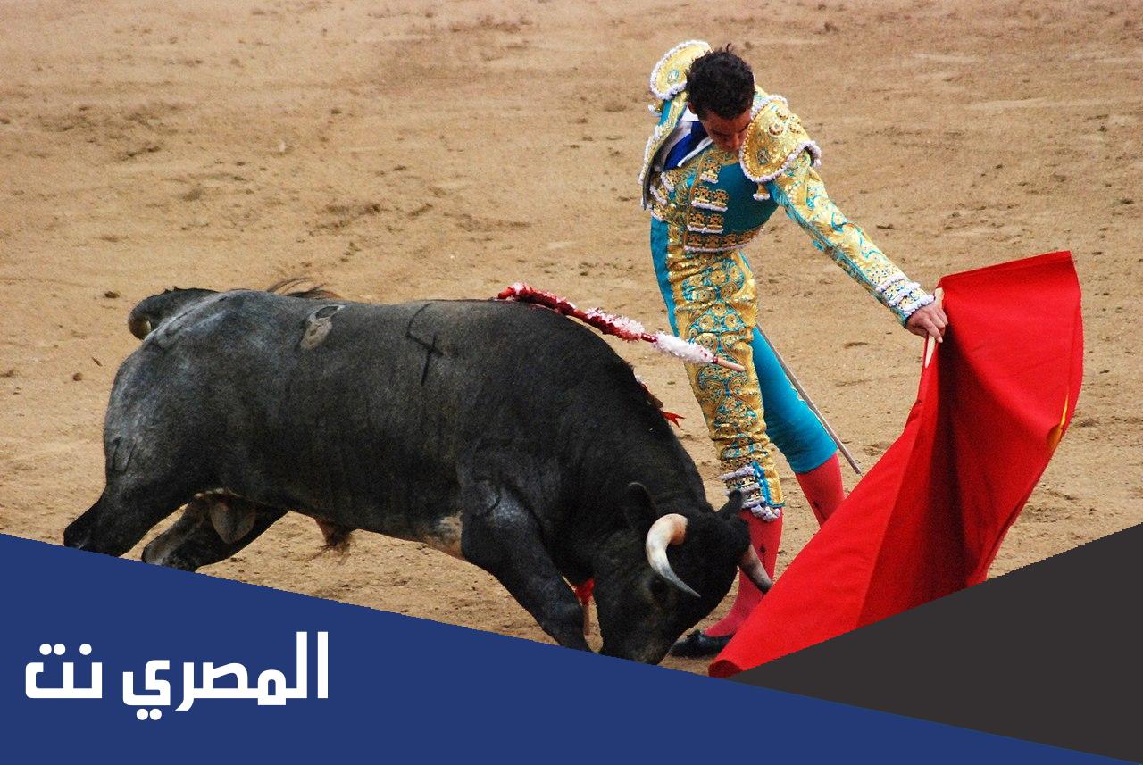 مصارع الثيران من 7 حروف