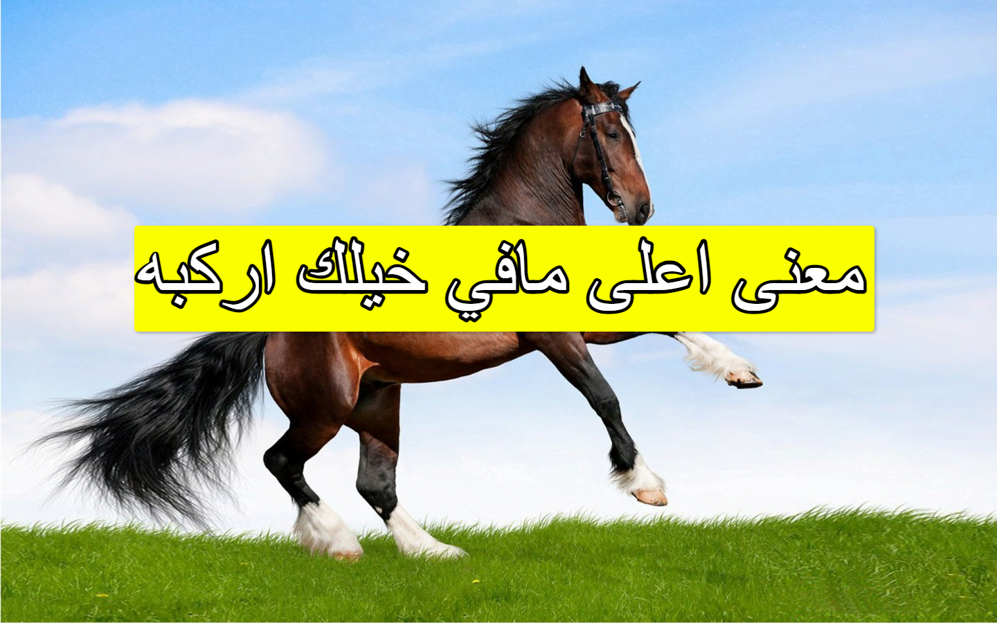 معنى اعلى مافي خيلك اركبه