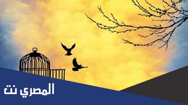 تعبير عن اعطاء الحرية الغير محدودة بضوابط