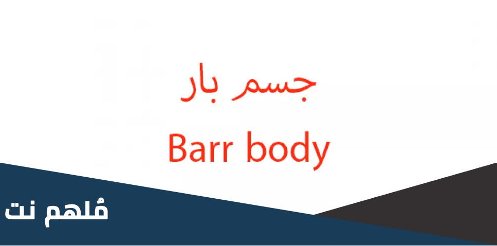 اين توجد اجسام بار barr