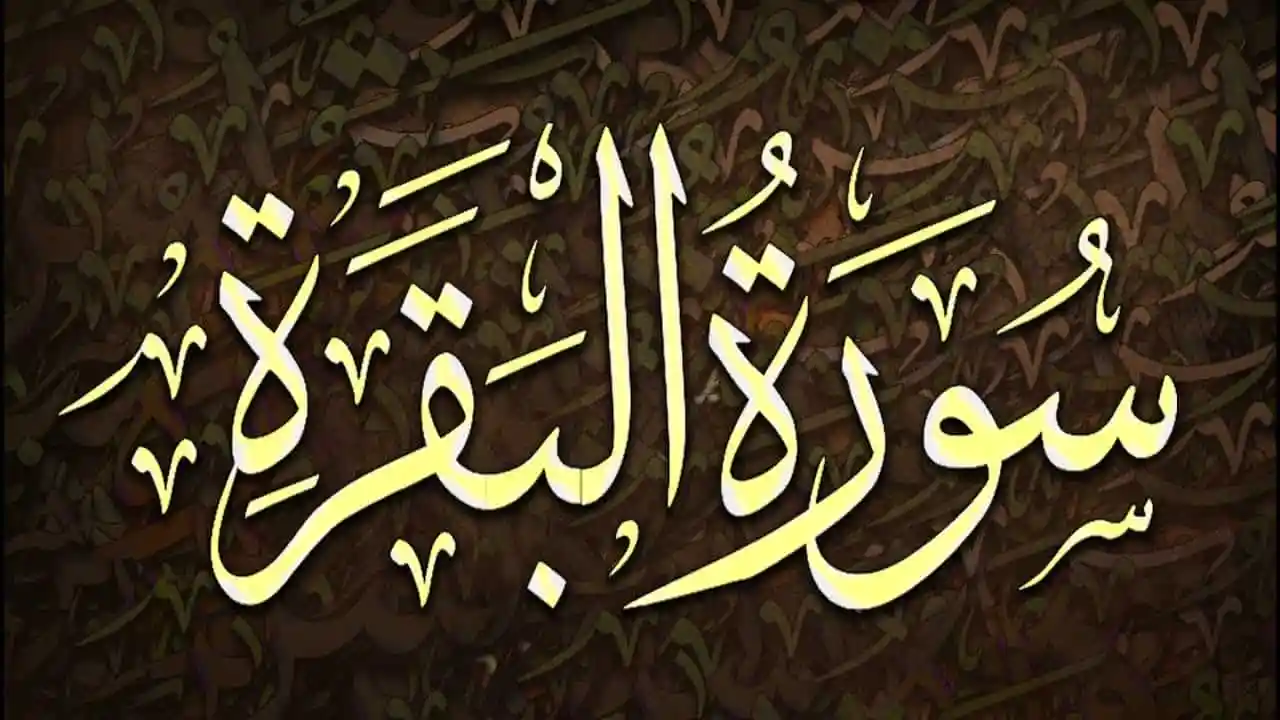 تجربتي مع سورة البقرة للعين والحسد