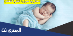تجارب سورة البقرة للحمل