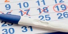 تجربتي مع متابعة التبويض للحمل بولد
