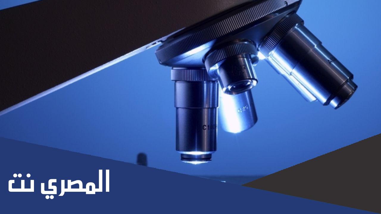 تقرير عن العدسة الزيتية