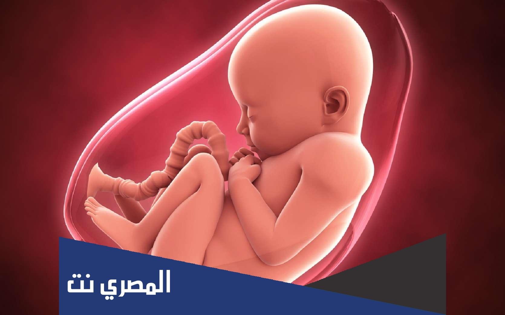صحة حديث اذا سبق ماء الرجل