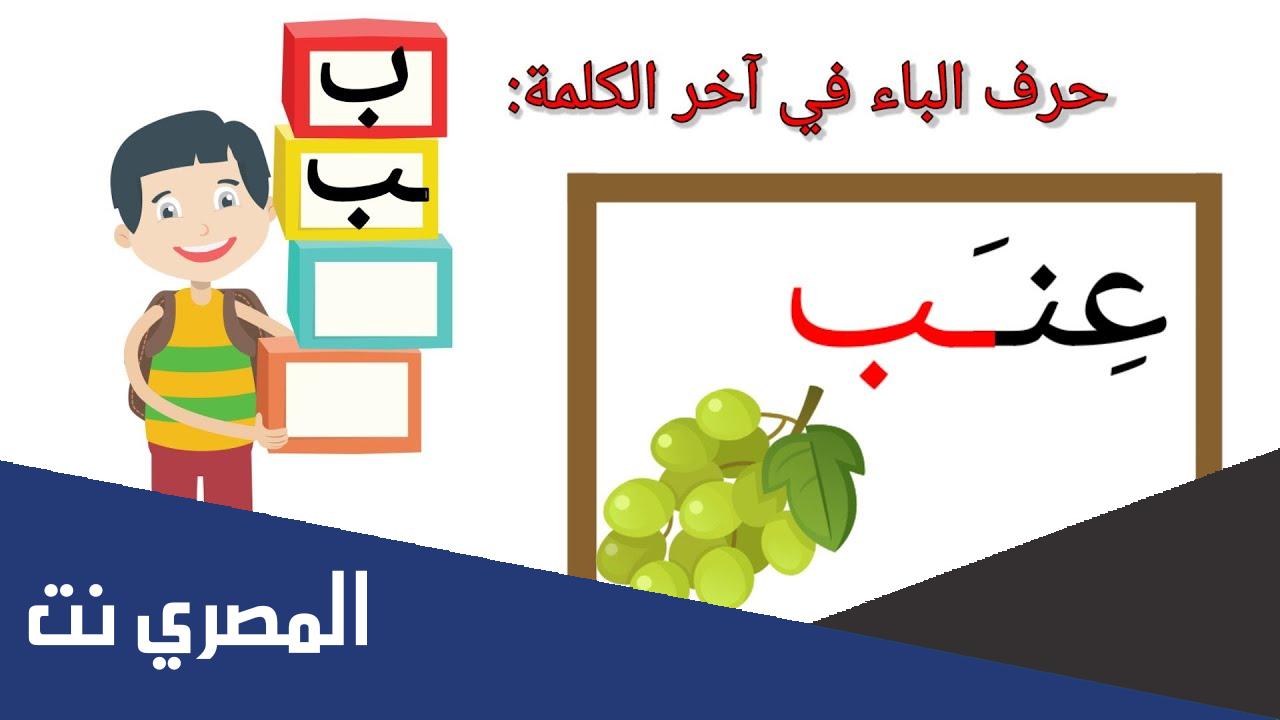 كلمات تنتهي بحرف الباء