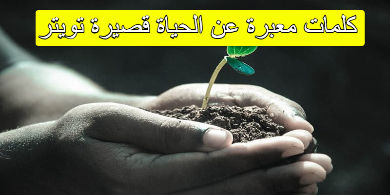 كلمات معبرة عن الحياة قصيرة تويتر