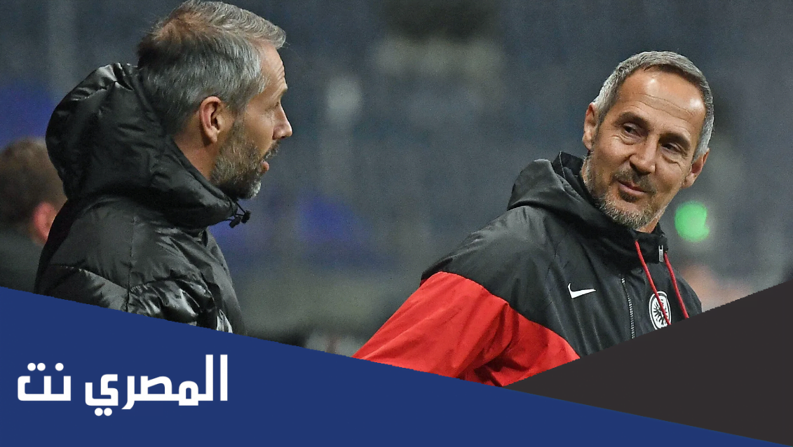 من هو ادي هوتر مدرب الاهلي CV