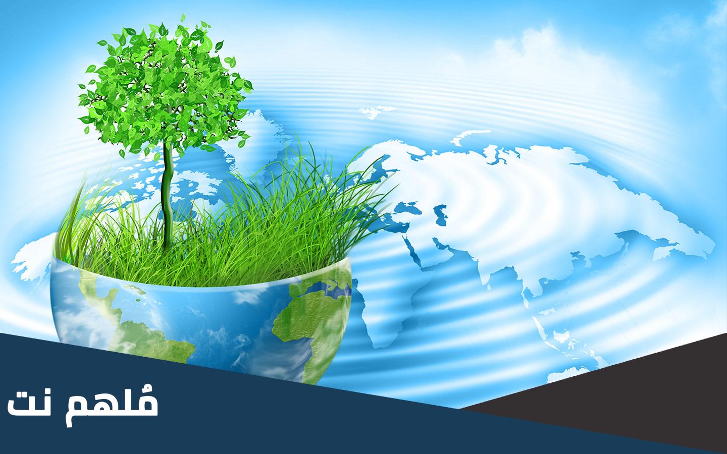 افكار طرق ترشيد استهلاك المياه