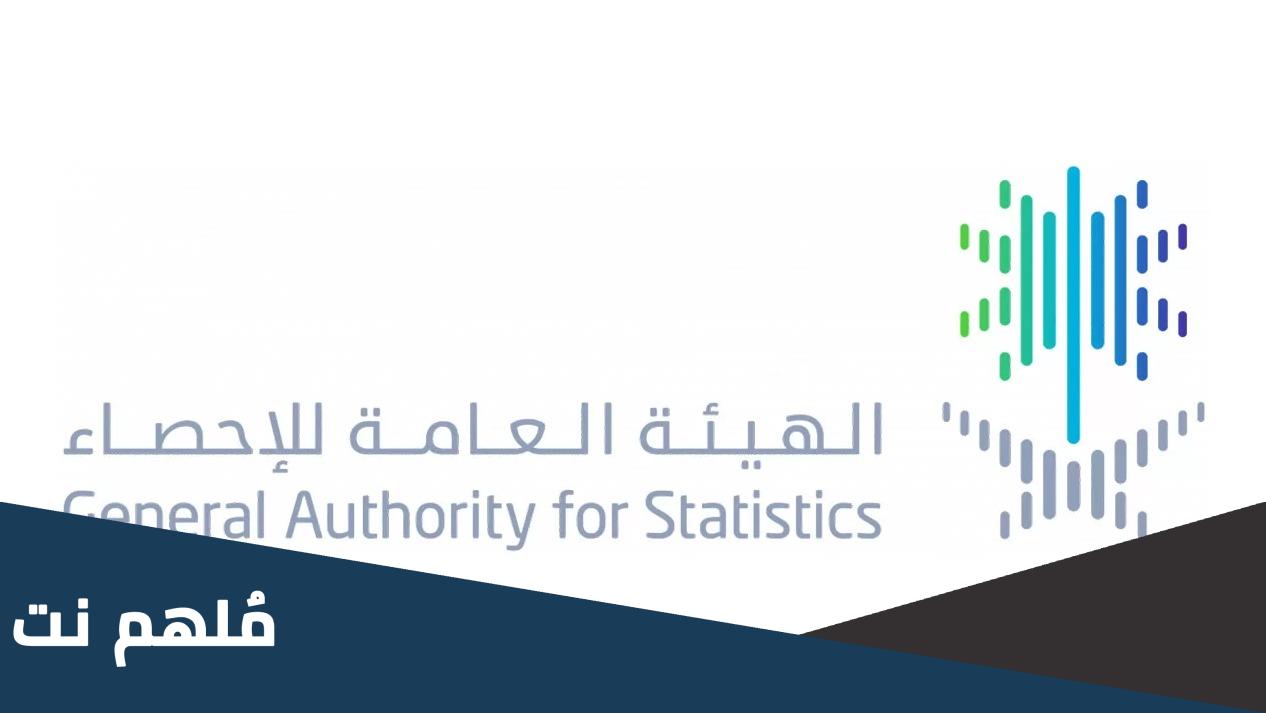 النفاذ الوطني الهيئة العامة للاحصاء رابط التسجيل