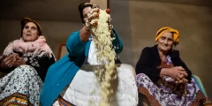 لماذا يحتفل الأمازيغ بيناير كل سنة