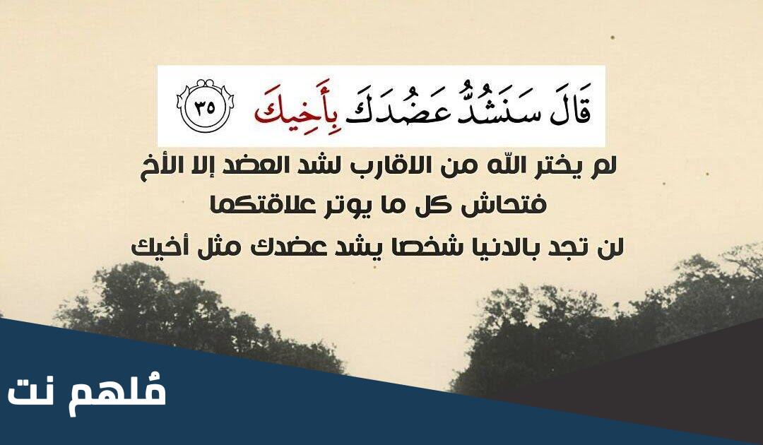 ماذا قيل في حب الاخ الكبير