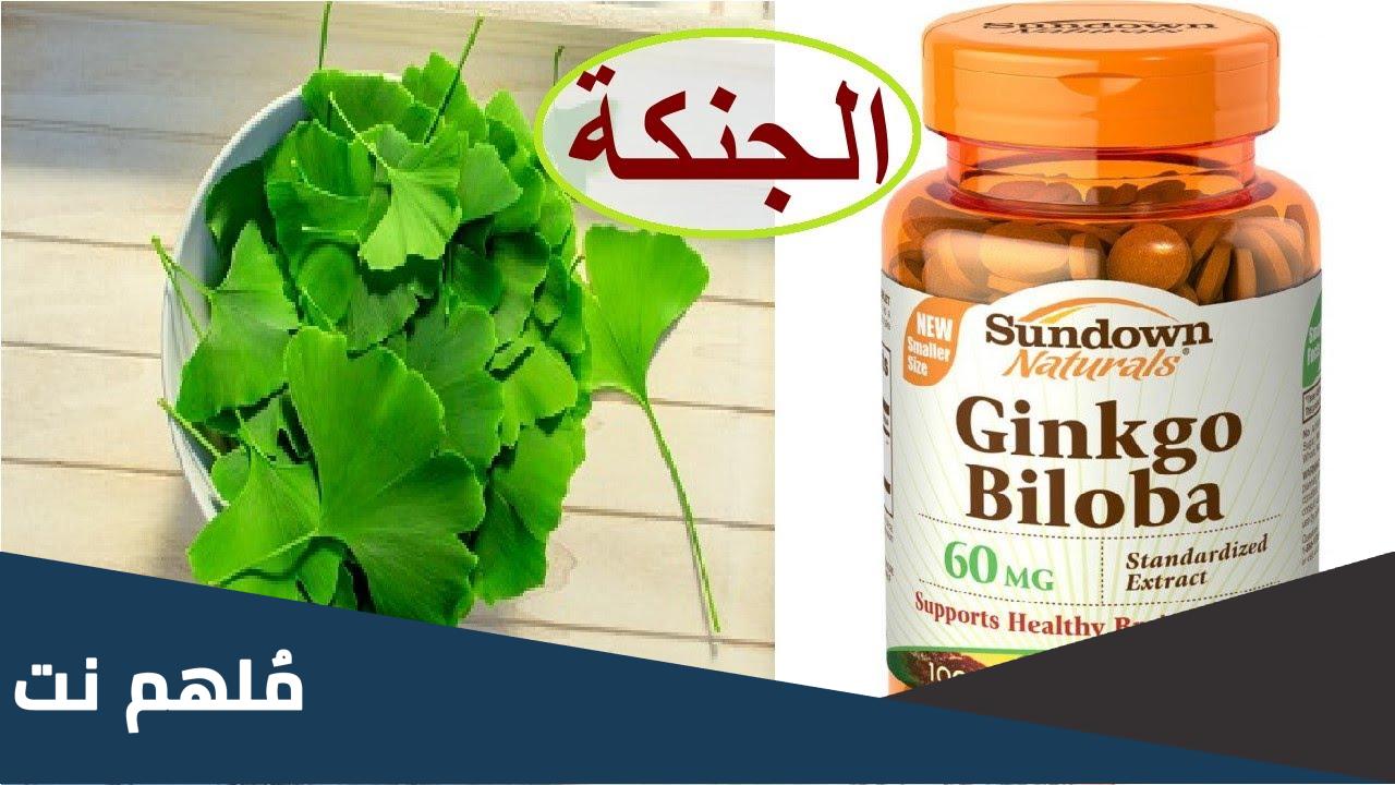 Ginkgo biloba فوائد حبوب