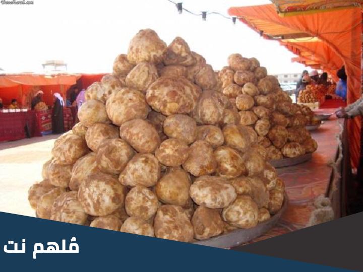 ما هو الفقع السعودي