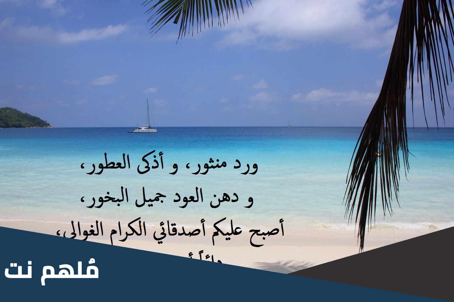 عبارات جميلة وراقية عن الصباح تويتر