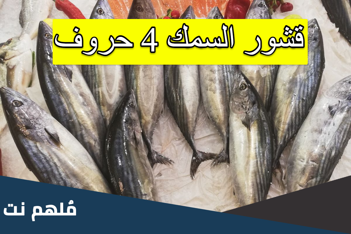 قشور السمك 4 حروف