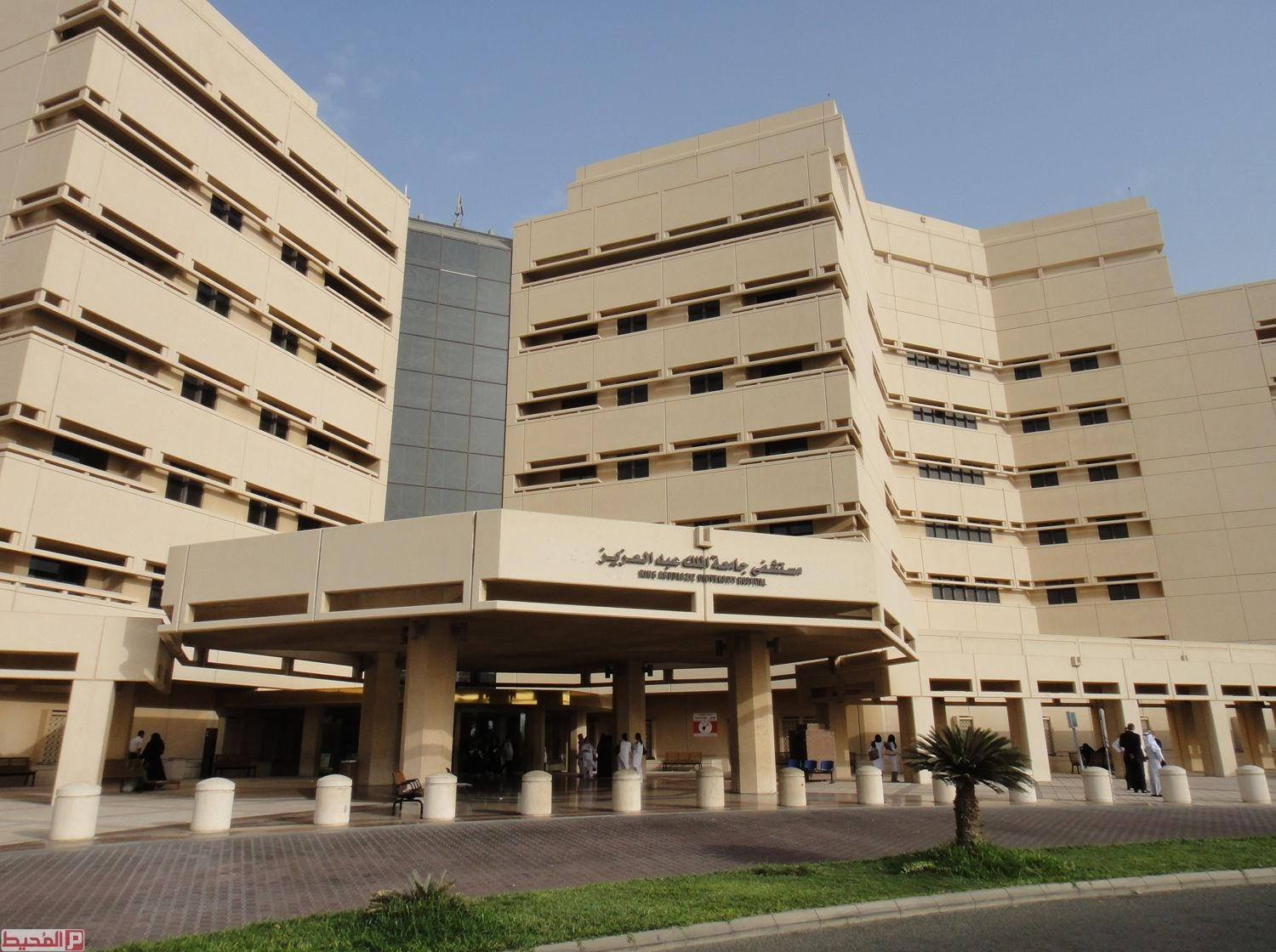 كم عدد الجامعات في السعودية