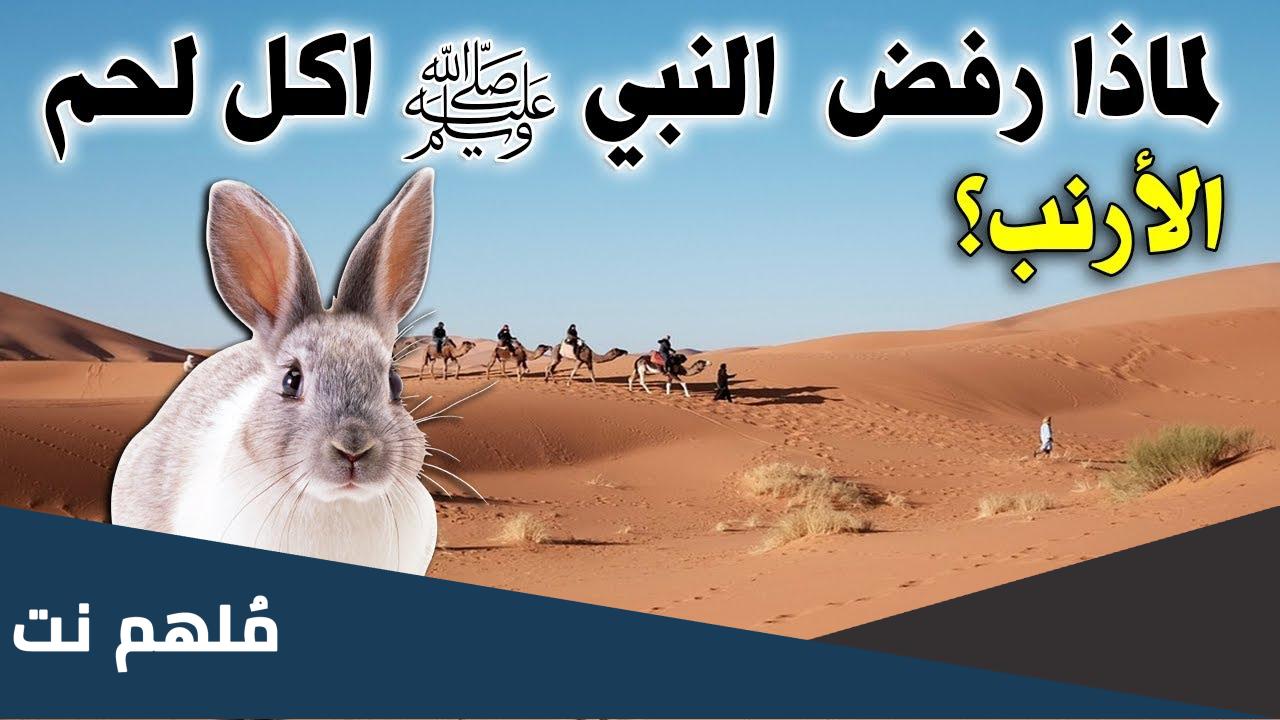 ما هو الحيوان الذي لم يأكله النبي ولم يحرمه