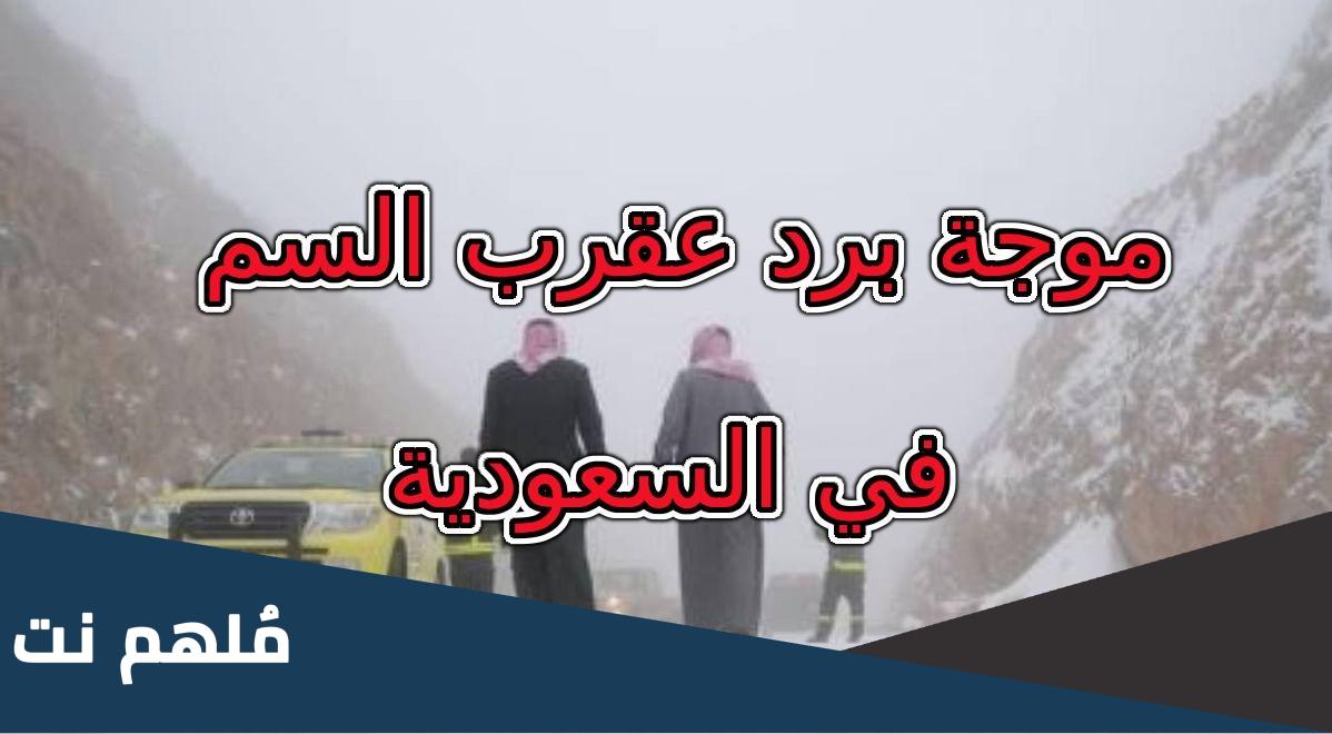 ما هو موسم الشبط والعقارب في السعودية