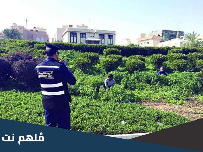 تم إنشاء شرطة البيئة في دولة الكويت عام
