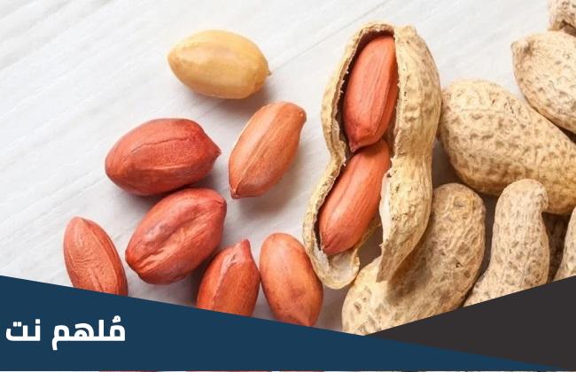 في اي دولة ظهر الفول السوداني لاول مرة بالتاريخ