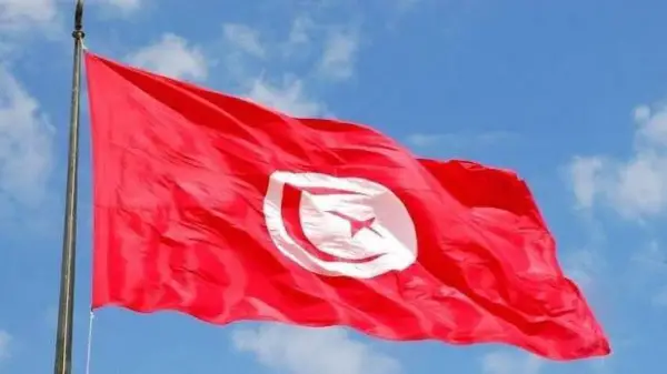 ما هو نطاق مواقع الانترنت لدوله تونس