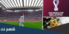 كم عدد الملاعب التي استضافت مونديال 2025