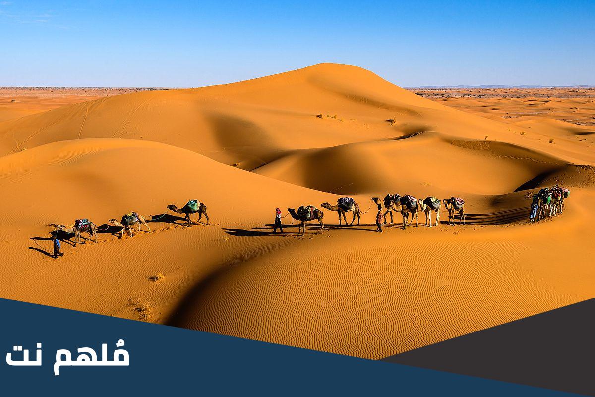اصل السويجي من اي مطير