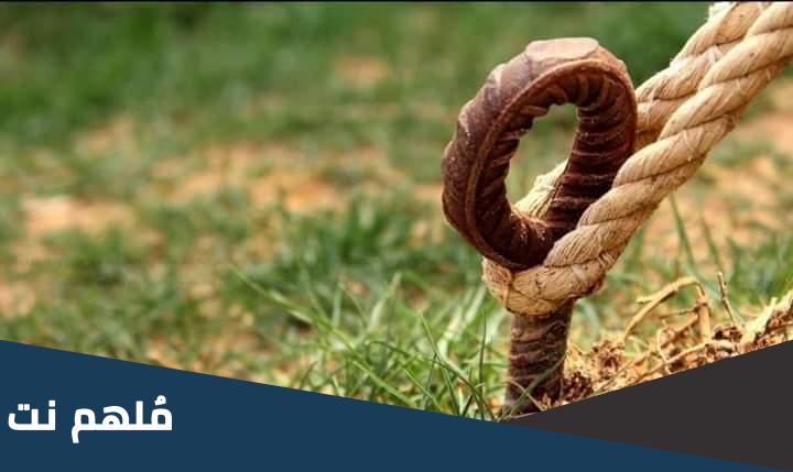 خشبة الحائك من 3 حروف