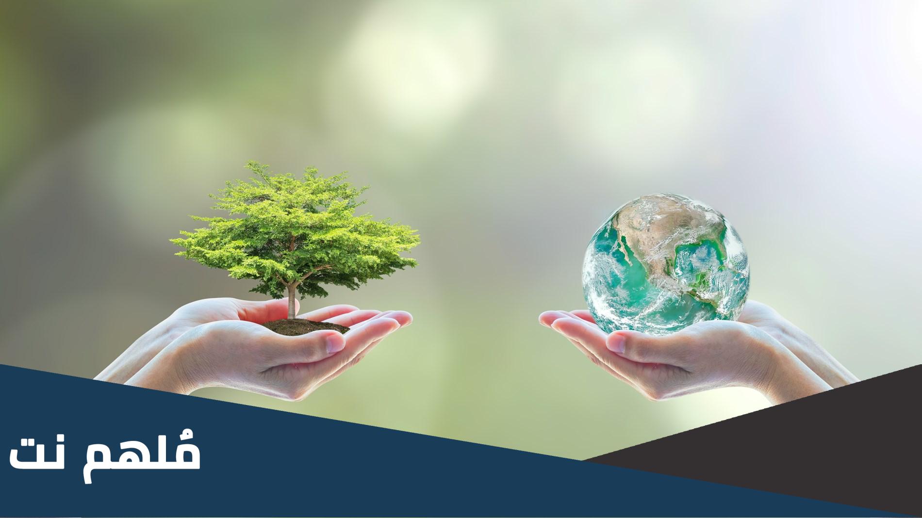 شعار عام الاستدامة هو ؟