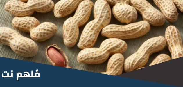 في أي دولة ظهر الفول السوداني