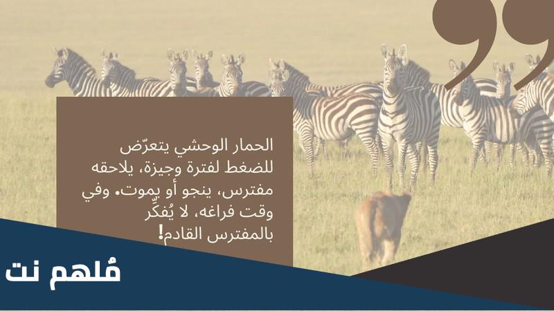لماذا لا يصاب حمار الوحش بقرحة المعدة pdf