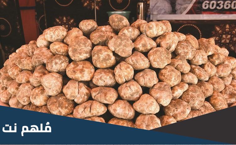 ما هو الفقع الكويتي