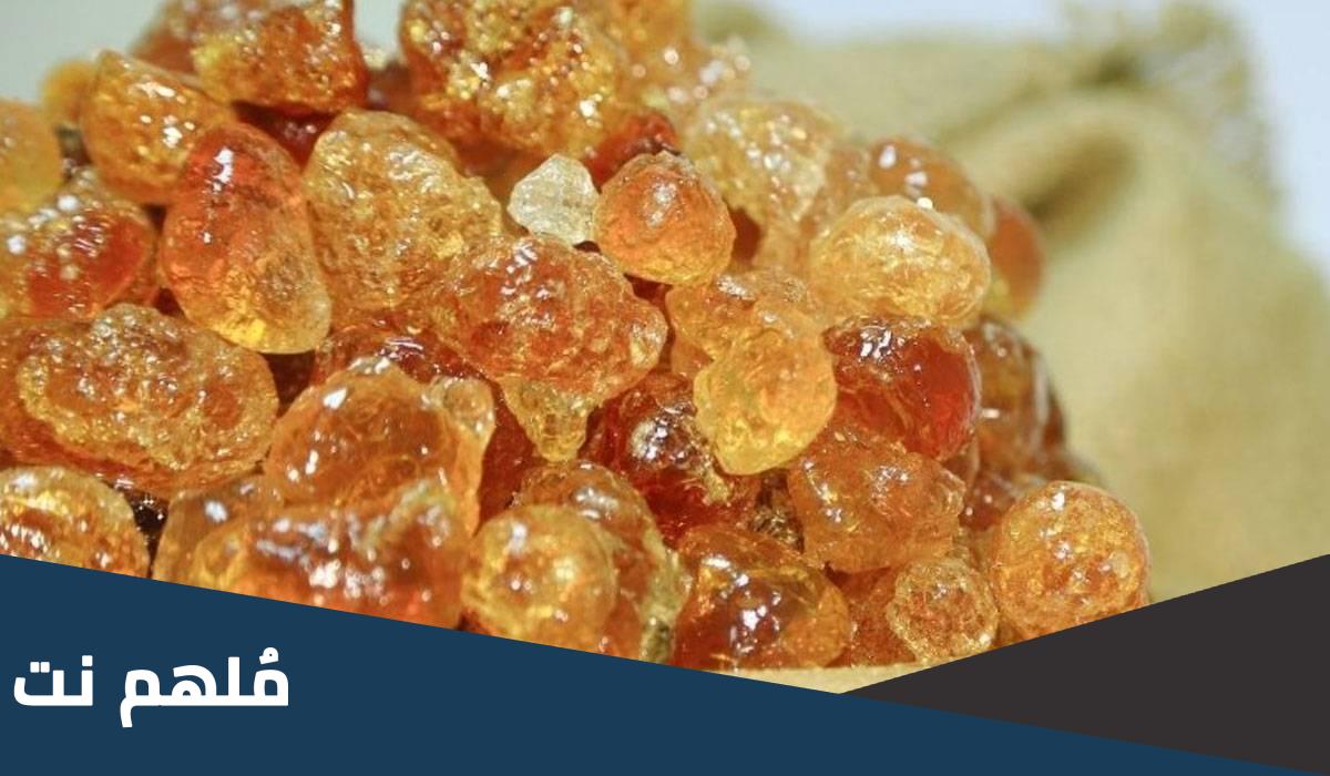 ما هي البيئة الطبيعية التي ينمو فيها الصمغ العربي