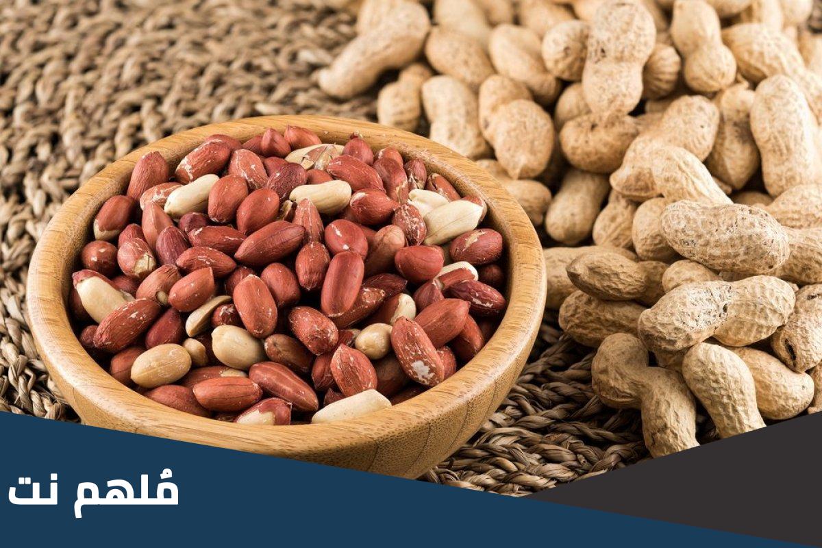 ماذا يسمى الفول السوداني في الامارات؟