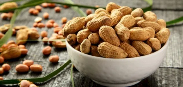 ماذا يسمى الفول السوداني في العراق؟