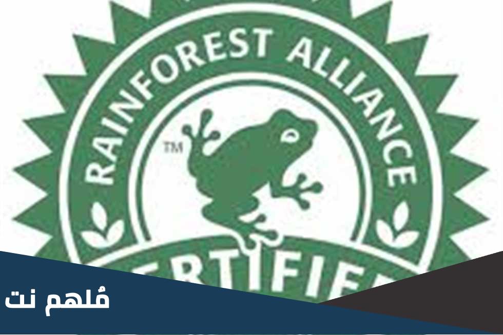 هل شعار الضفدع على المنتجات يدل على احتوائها حشرات