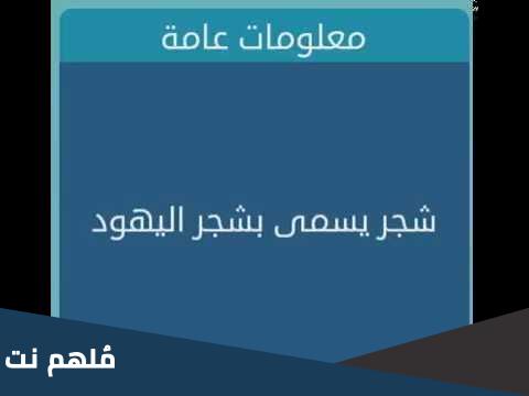 شجر يسمى بشجر اليهود 6 حروف